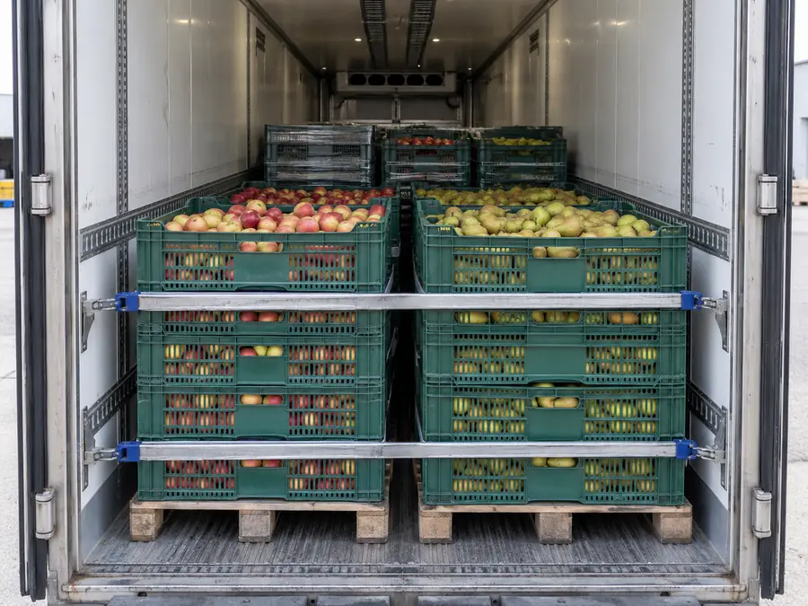 Température dirigée : des cagettes de pommes et de poires chargées dans une remorque frigorifique.